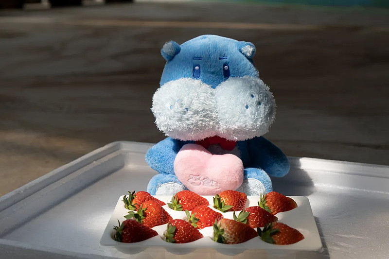 十一餐桌上,多了一抹红-科记汇