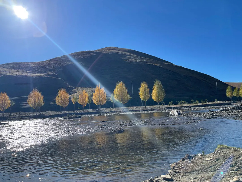 十一餐桌上,多了一抹红-科记汇