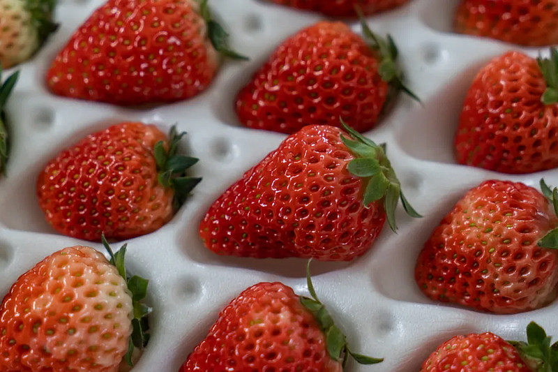 十一餐桌上,多了一抹红-科记汇