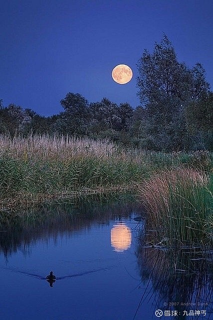 今看花月浑相似,安得情怀似往时! - 雪球