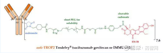 群雄割据，抗体偶联药物（ADC）靶点新星-Trop2 争夺大战一触即发 群雄割据，抗体偶联药物（ADC）靶点新星-Trop2 争夺大战一触即发 ...