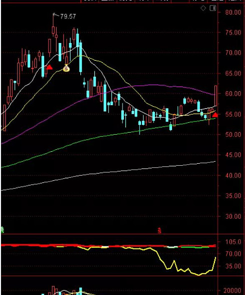 陶博士口袋支点量化结果核对
