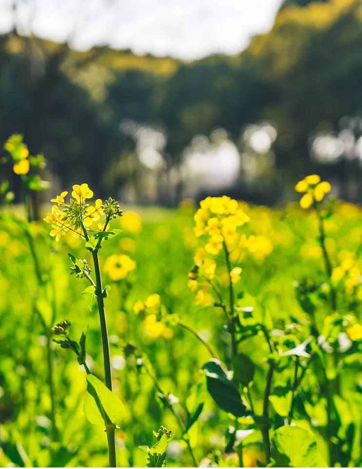 悦未来十二时辰美好生活总在身边
