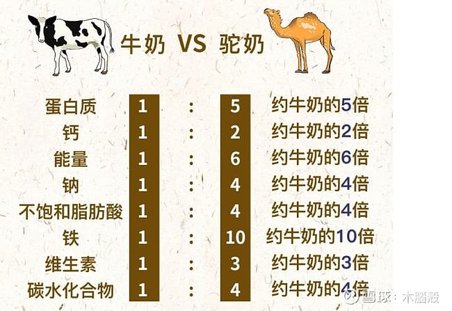 见证不老奇迹驼奶粉的逆袭时刻