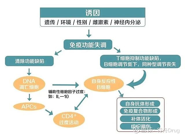 紅斑狼瘡用免疫細胞療法達到臨床治癒