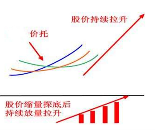 价托形态图片