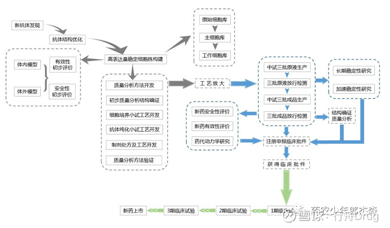 生物药开发