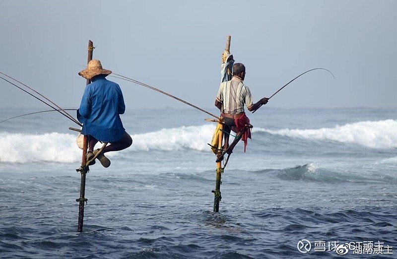 单钓20厘的高手们第46届顽主杯