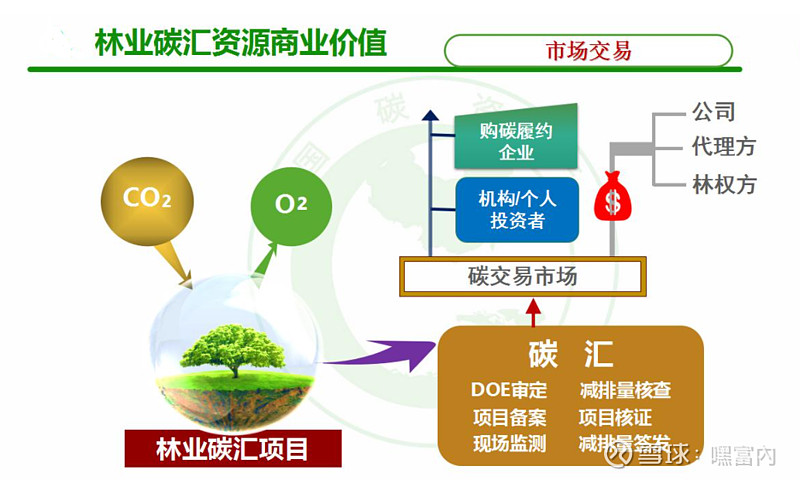 中国林业碳汇项目交易现状及发展前景