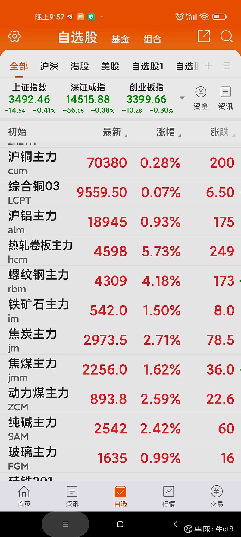 如今钢铁股的龙头有哪几个? (2021年钢铁股怎么样)