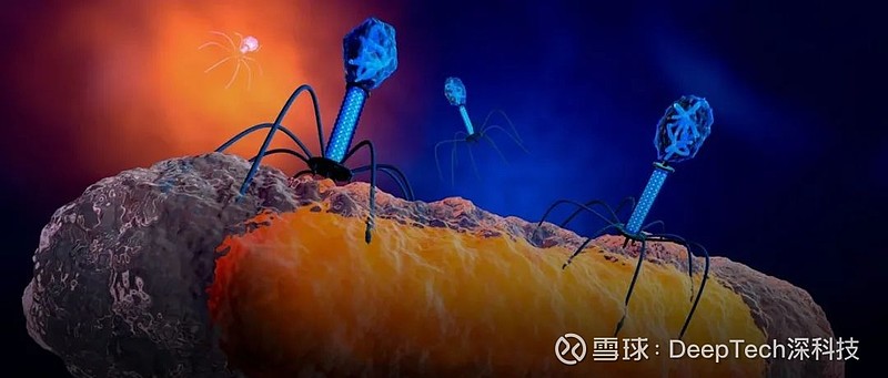 顶级科学家呼吁禁止创造镜像细菌