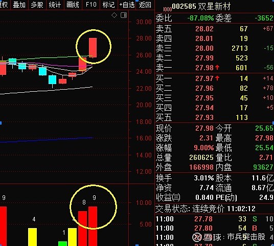 雪球 双星新材图片