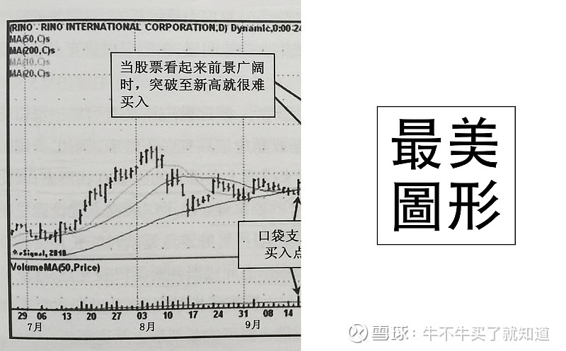 最美的妞(口袋支点选股感悟) 《像欧奈尔信徒一样交易》 文中说道