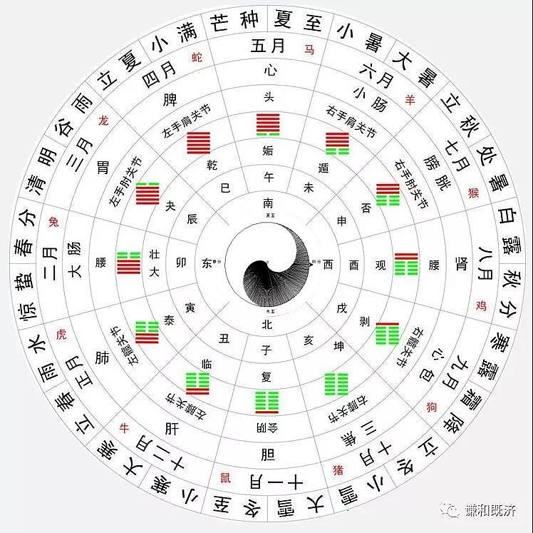 人体气机升级,方位四季,日月升降,如下图:这样安排五脏的分布,是传统