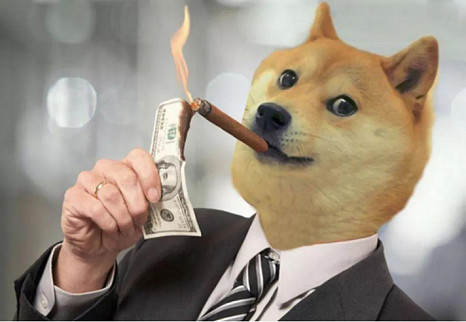 中国怎么买狗狗币_哪个网站可以买狗狗币_怎么买狗狗币流程