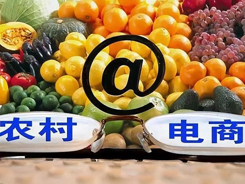 农村电商发展趋势报告,中国特色农业发展之路蓝图已现