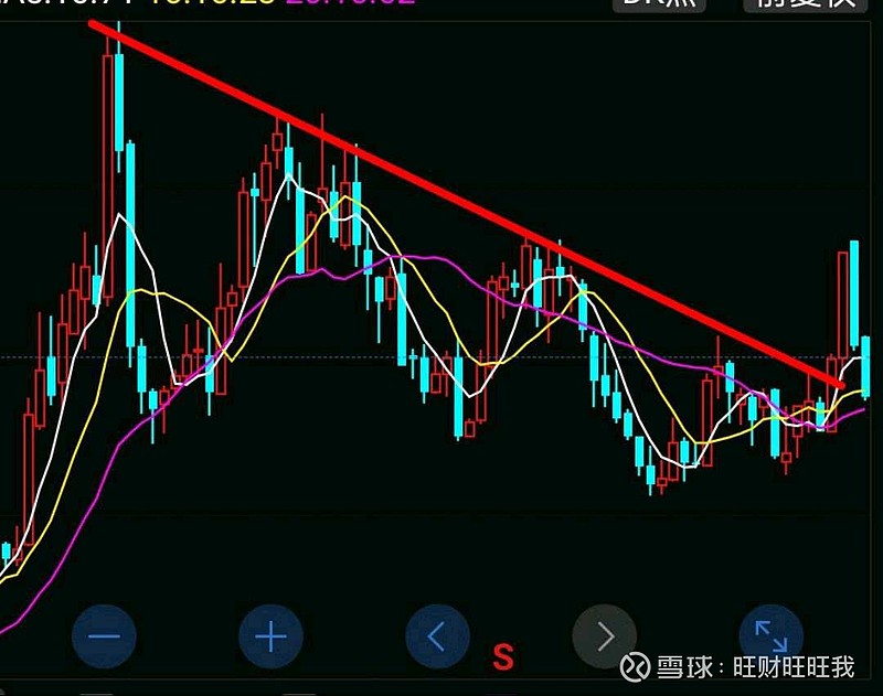 $龙大肉食(sz002726)$ 看不明白,谁来指点下 - 雪球