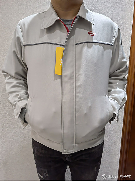 $比亚迪(sz002594)$ 今晚穿 比亚迪 王总同款,工装外套直播吹水 (今年