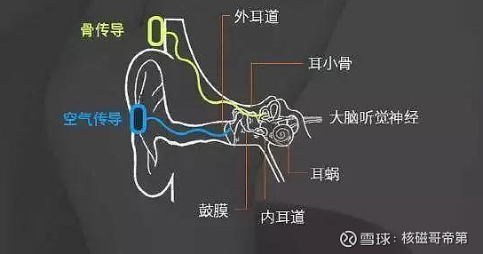 气传导优于骨传导你还在傻傻交智商税吗