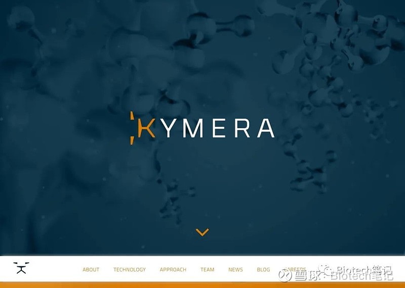 Kymera Therapeutics在ASH年会上公布了选择性STAT3 PROTAC临床前数据 Kymera Therapeutics ...