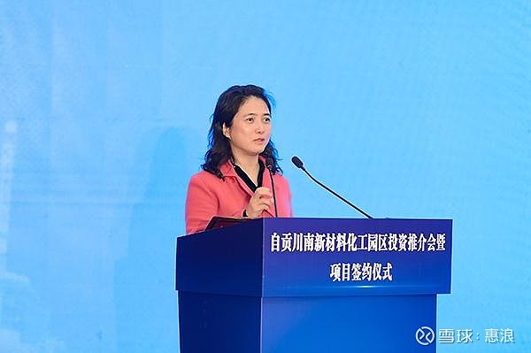 嘉宾代表新湖集团股份有限公司董事长林俊波发言据悉,川南新材料化工