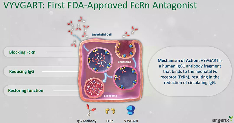 首款抗FcRn单抗获FDA批准上市！再鼎医药1.75亿美元引进中国权益 12月17日， Argenx 宣布，美国FDA批准VYVGART ...