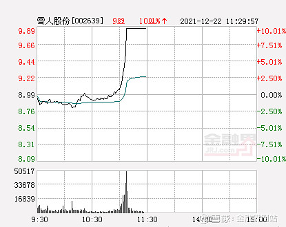雪人股份是做什么的公司