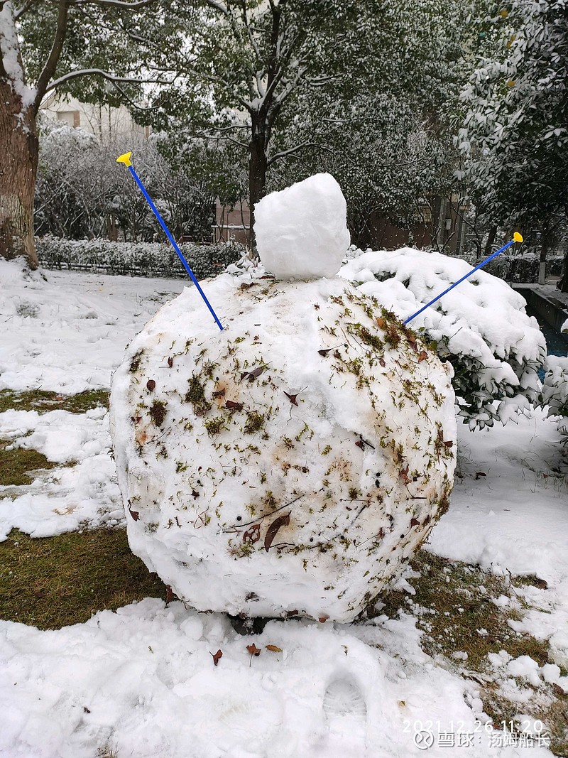 滚了一个全村最大的雪球到最后滚过的地方是片甲不留令大家羡慕不已