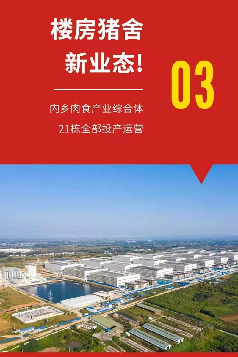 重磅牧原2021年出栏破4000万头210万头综合体21栋楼全部投产