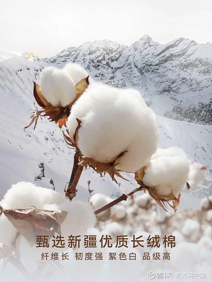 从新疆库尔勒棉花产地的精选到棉花植株的种植标准要求,从普通长绒棉