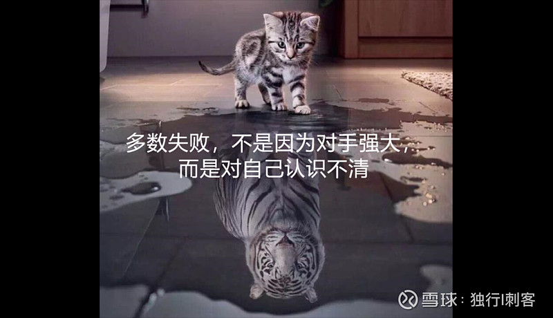 灵魂之问炒股是不是零和游戏