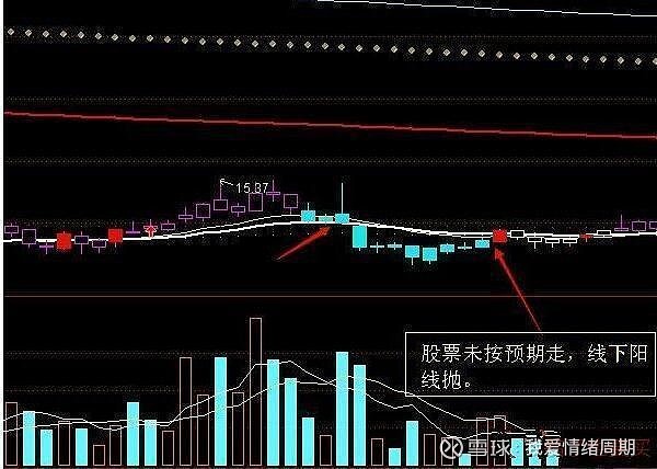 下什麼是線上陰線買:首先是本輪行情的強勢股,市場熱點股票,陰線買入