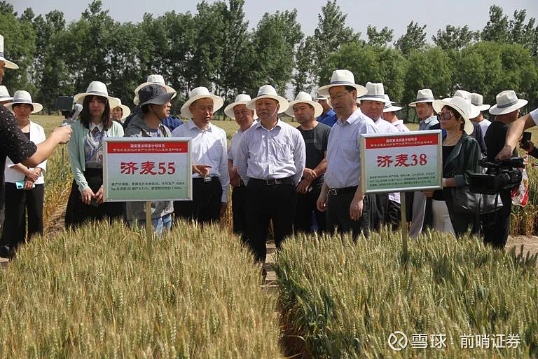 鲁研农业官网披露,公司是从事以小麦为主的农作物良种育繁推一体化