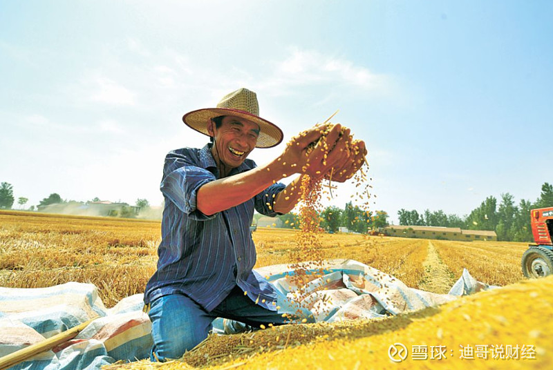 农民伯伯种粮食不容易,粒粒皆辛苦