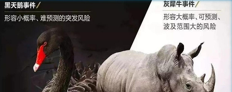 继续警惕看得见的美股灰犀牛风险以及看不见的黑天鹅风险