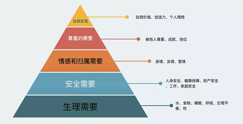 人生规划金字塔图片