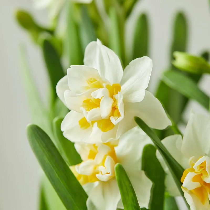 今年的年味儿，带着花香-科记汇