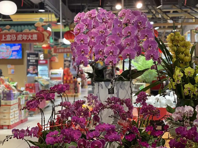 今年的年味儿，带着花香-科记汇