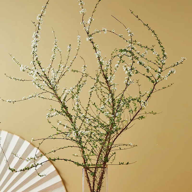 今年的年味儿，带着花香-科记汇