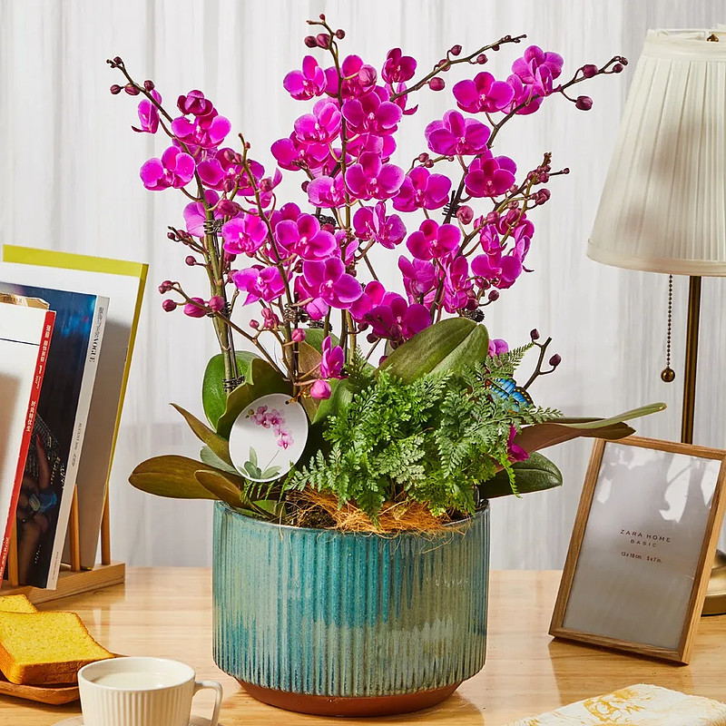 今年的年味儿，带着花香-科记汇