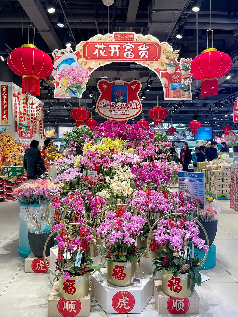 今年的年味儿，带着花香-科记汇