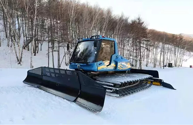 金小蝶说冬奥 | 颜值爆表的“雪游龙”原来是这么炼成的！-科记汇