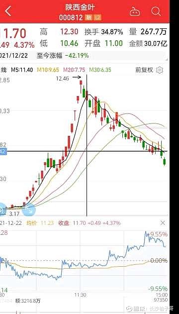 抓住龙头八年万倍顶级游资赵老哥心法柚子哥实战解读