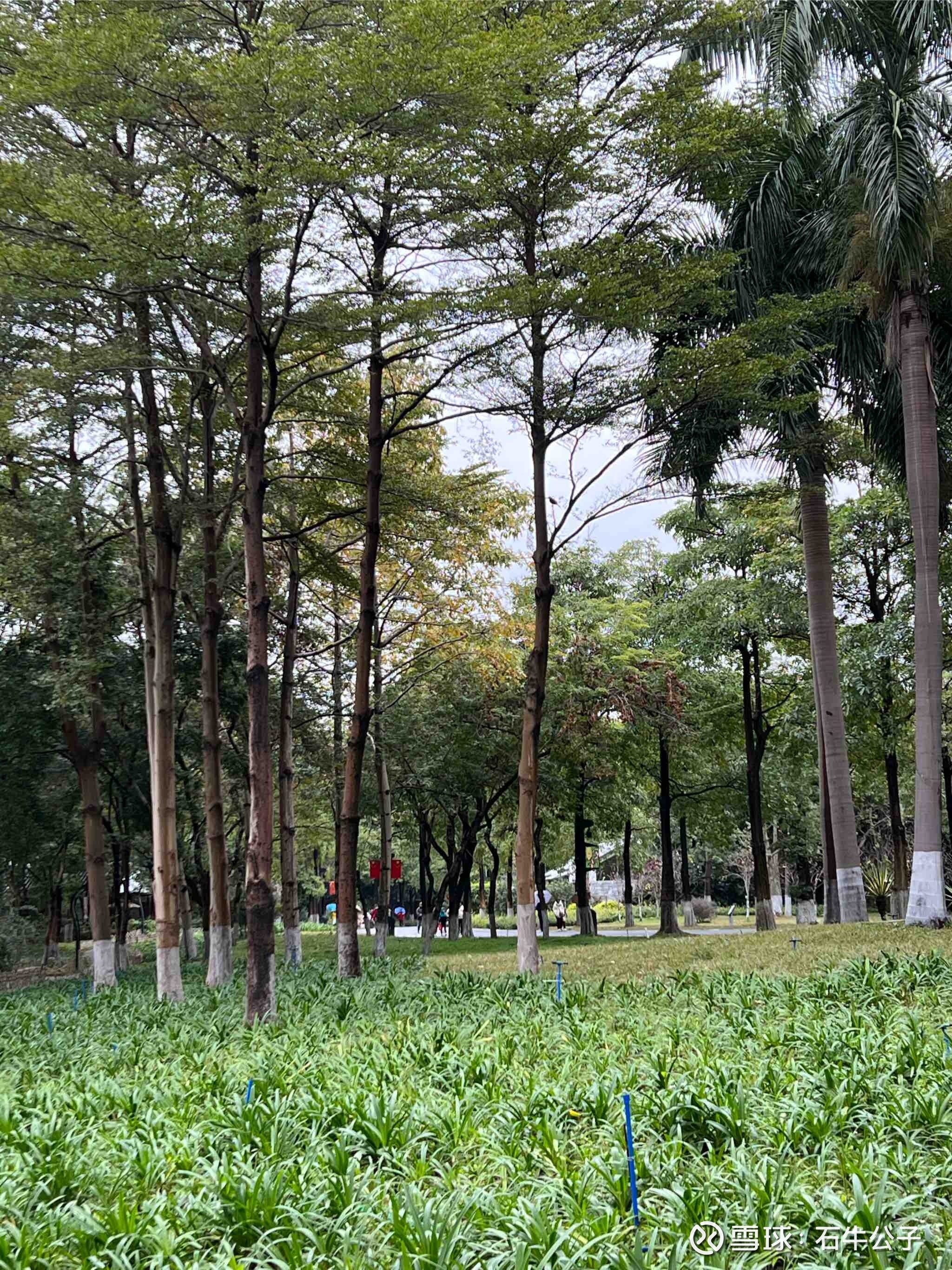 立春,一年四时之始。 立,是“开始”之意;春,代表着温暖、生长。 立春,意味着新的一年已经到来。立春,春气始,万物生,生... 雪球