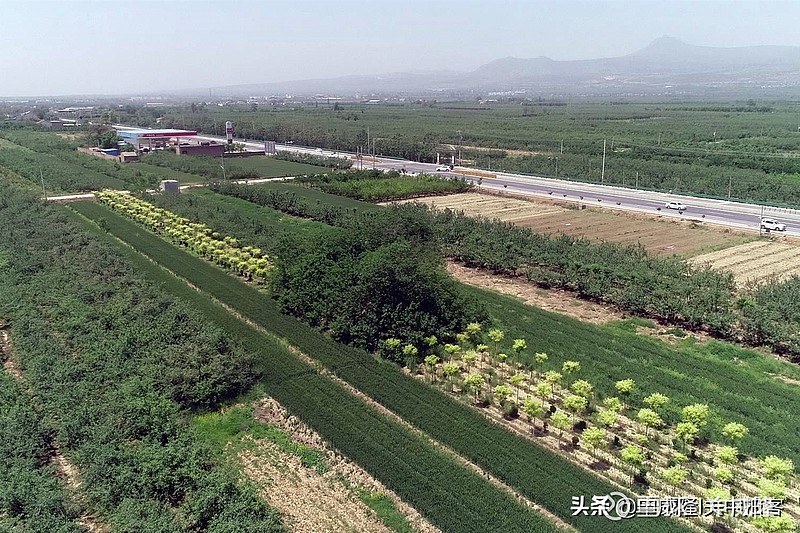 唐昭陵陪葬墓区航拍154号陪葬墓疑似史大奈墓