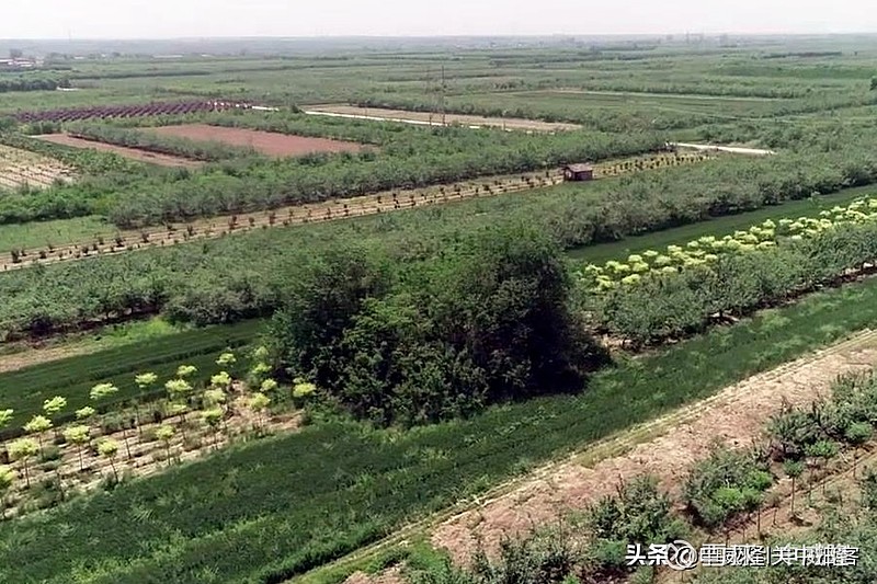 唐昭陵陪葬墓区航拍154号陪葬墓疑似史大奈墓