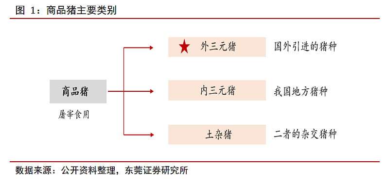 规模养殖稳步推进，静待周期向上拐点