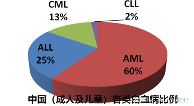 急性髓系白血病是成人白血病中最常见的类型,疾病进展迅速,国内aml