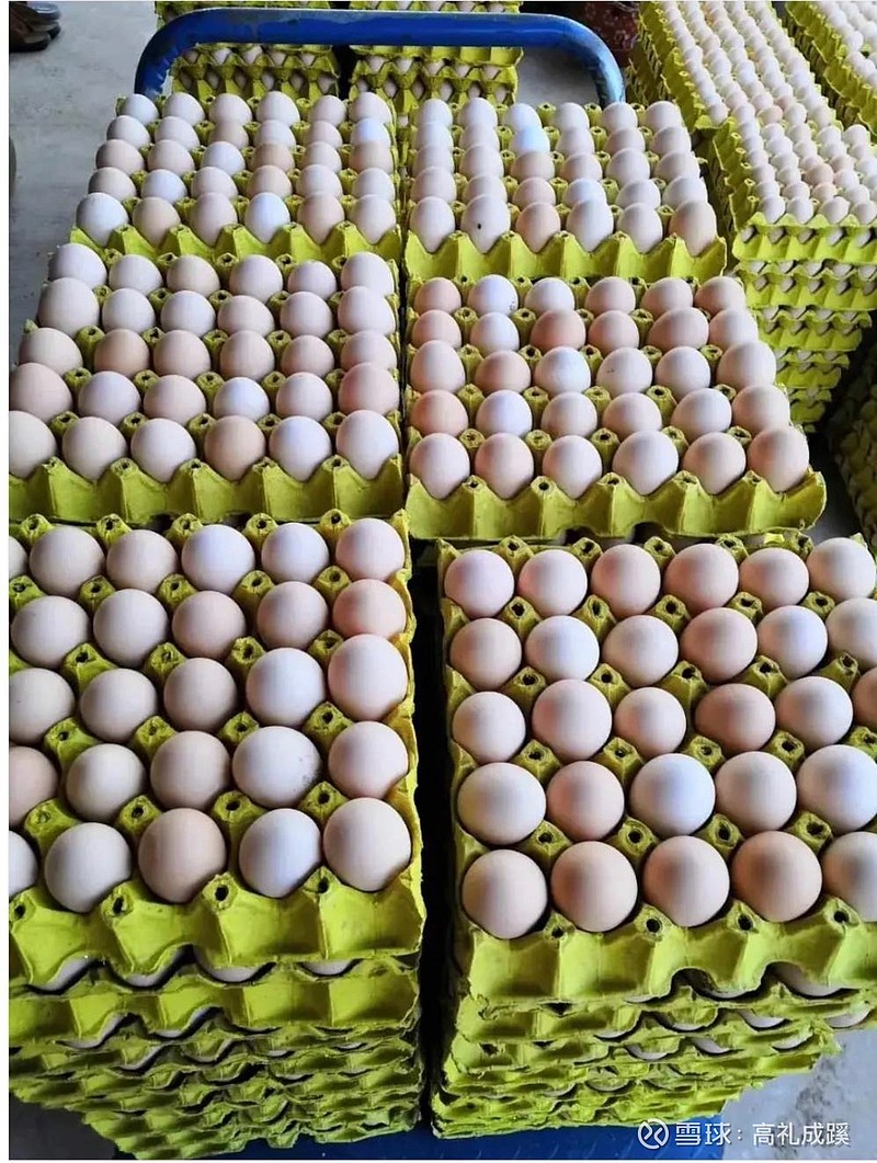 圣农鸡蛋图片