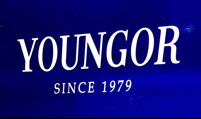 雅戈尔主品牌logo进化史 雅戈尔 品牌创立于1990年,英文商标youngor